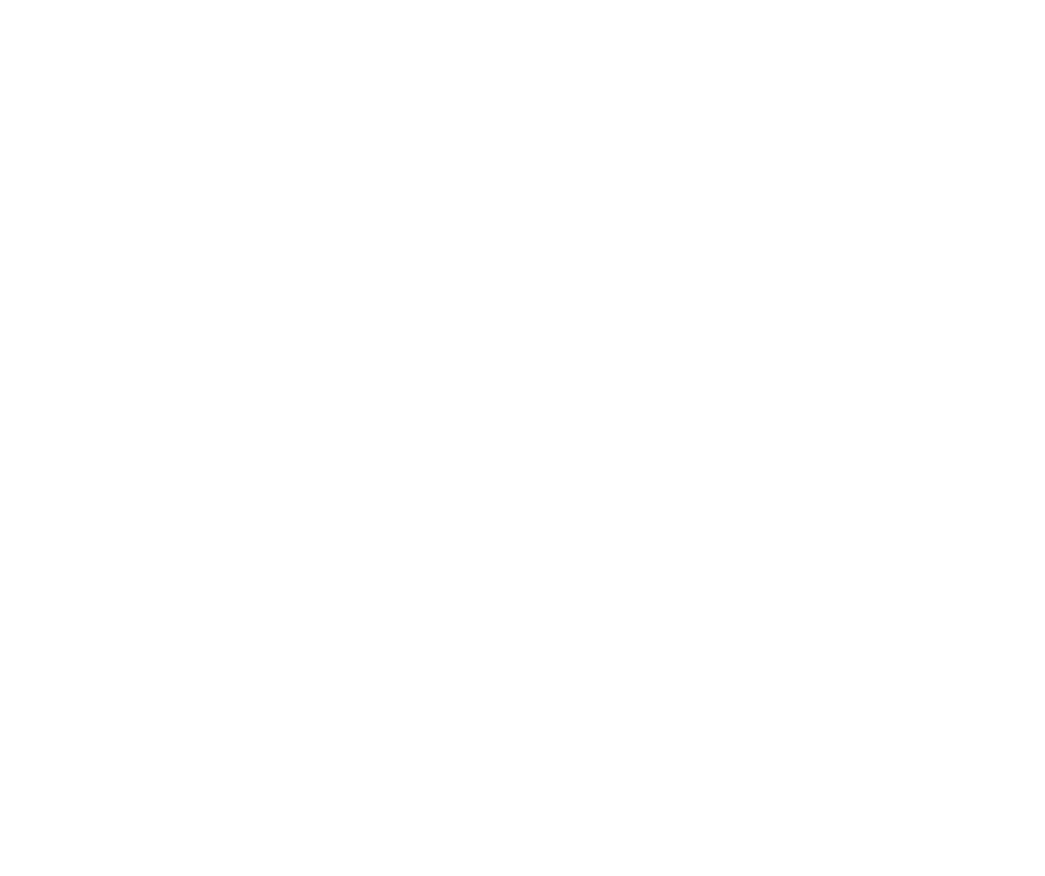 Bittencourt BJJ