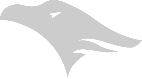 The Eagles Marketing